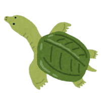 �����ۂ�